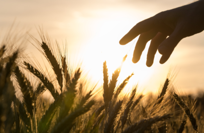 Guide Nature: Der gute Geschmack von Brot!